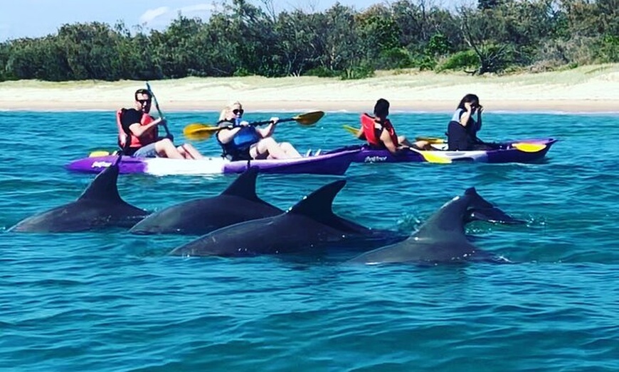 Image 2: 2-Hour Dolphin Kayak & Snorkel Tour on the Broadwater