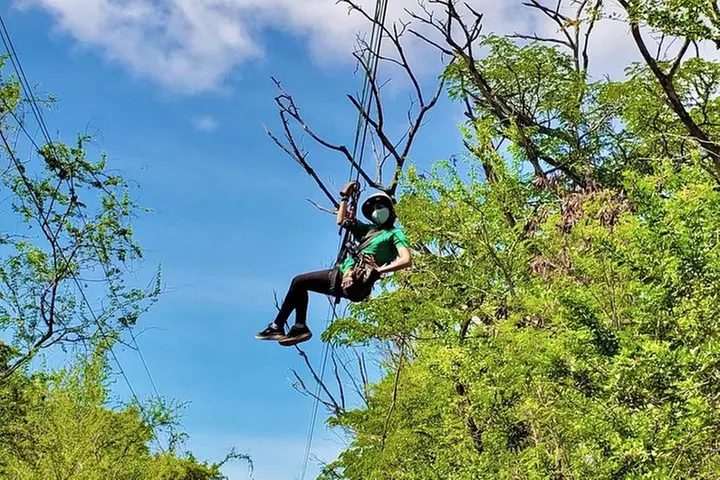 3 Zipline Adventure at Coral Crater with Optional Waikiki Shuttle