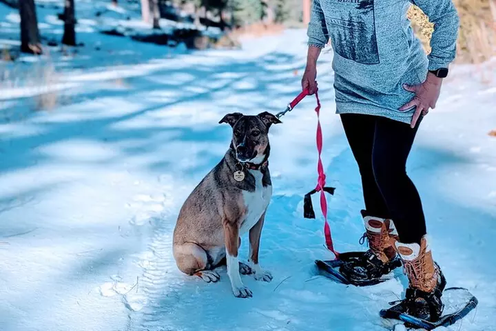 Family-Friendly Nature Hike around the Big Bear Valley