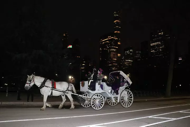 NYC Central Park Horse Carriage Ride (Up to 4 Adults)