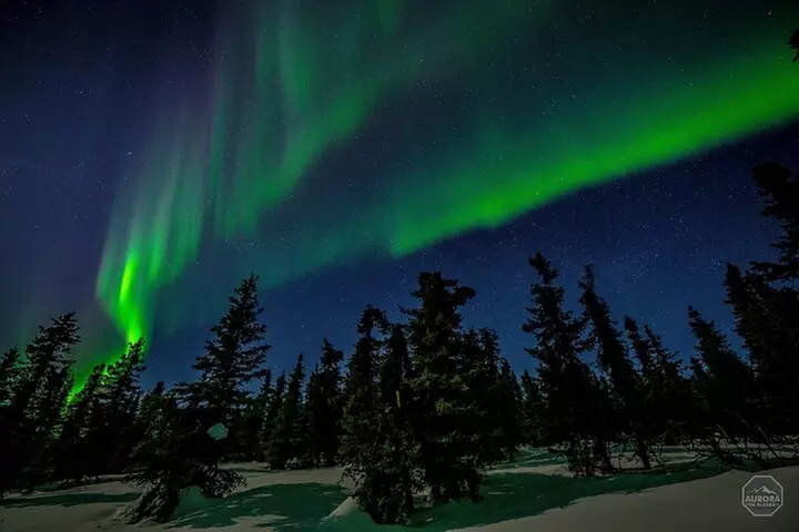 SkyChase™ Northern Lights Experience