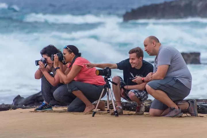 First Day Must: Oahu Sunrise & Circle Island Adventure