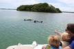 4 Hour Private Ecotour and Snorkeling Boat Tour - Second Medium