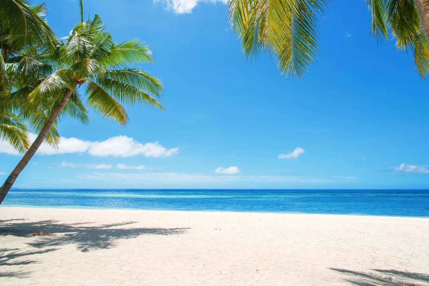 ✈ FILIPPINE | Cebu - Alla scoperta delle Filippine 4*, 7 notti - Tour