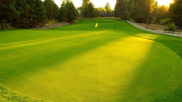 Online Booking - Round of Golf at The Old Back Nine At Mountain High