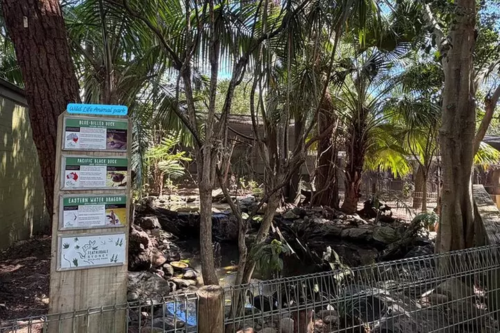 From Sydney Blue Mountains Private Tour with Wildlife Park - Image 7