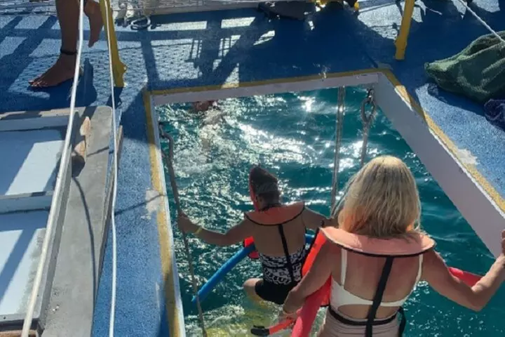 Key West Rum and Reggae: Reef Snorkel Adventure and Sunset Sail