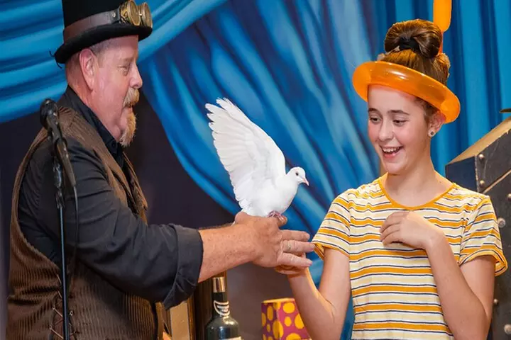 Ticket for Magic Show Theater in Houston