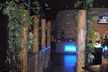 5% Cash Back at Sakura Garden Japanese Steak House - South Windsor - Second Medium