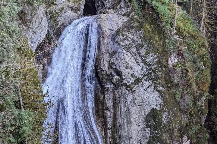 Visit Snoqualmie waterfall and an old forest (Transport Included)
