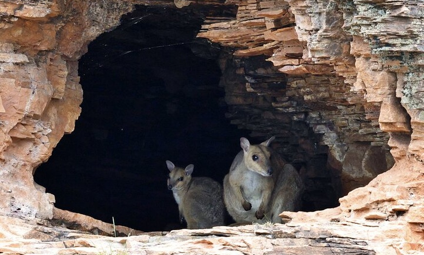 Image 9: Ord River Nature Boat Tour (minimum 2 passengers required)