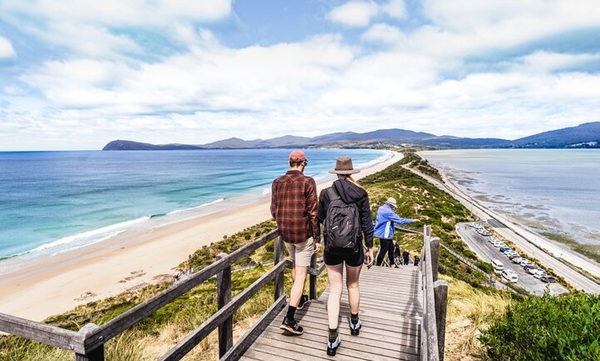 Image 1: Bruny Island Food, Sightseeing, Guided Lighthouse Tour & Lunch