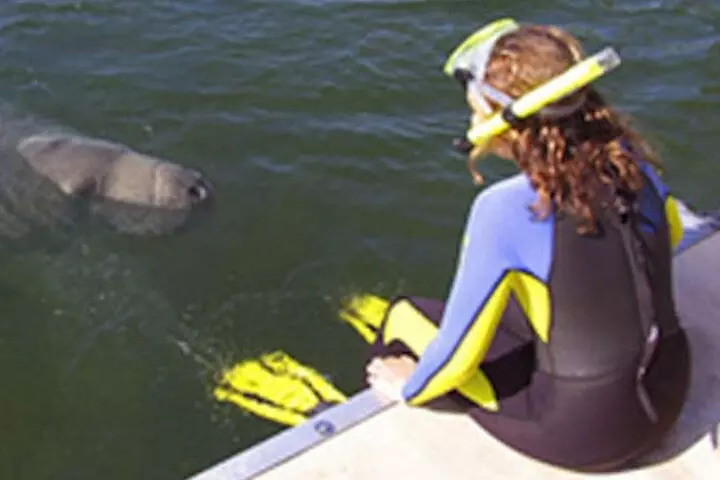 1 Day Swim with Manatees, Wildlife Park & Airboat Ride in Orlando - Primary Image