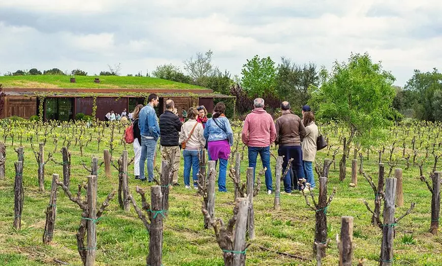 Image 8: Paseo entre viñas y cata de vinos en el Empordà
