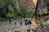 Zion National Park Small Group Tour from Las Vegas