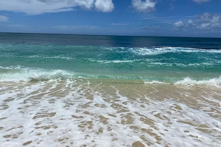 Oahu Island Experience feat the North Shore (Small Group Tour)