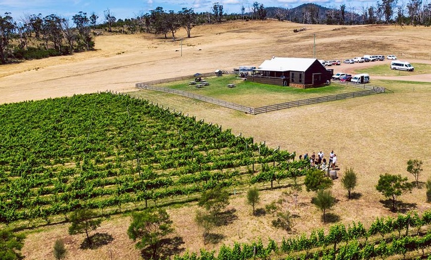 Image 12: Tasmanian Premium Wine Tour with Tasmanian Cheese Platter