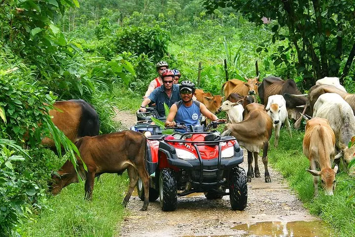 ATV Adventure in Puerto Rico El Yunque Rainforest - Second Medium