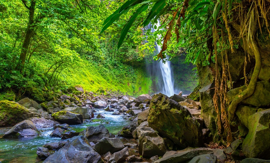 Image 10: ✈ COSTA RICA | San José - Autotour entre forêt tropicale et plage e...