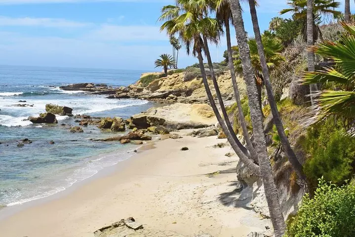 Whale-Watching and Orange County Beaches Tour from Anaheim