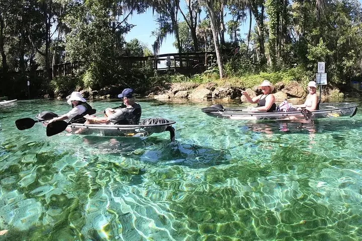 Clear Kayak Three Sisters Springs & Manatee Tour Of Crystal River