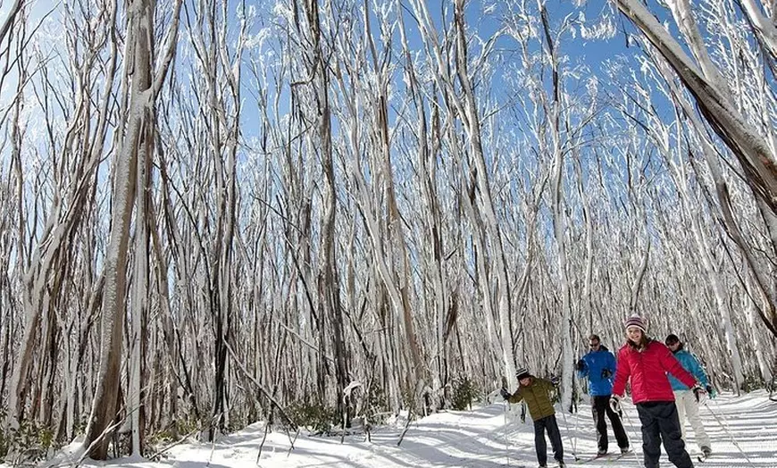 Image 2: Private Snow tour Lake Mountain (JUN-SEP)