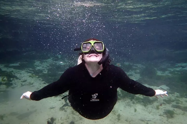 Private 'OG' Manatee Snorkel Tour with Guide for up to 10 people