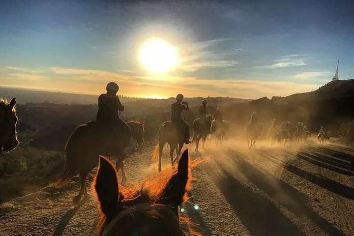 Mulholland Trail Horseback Tour