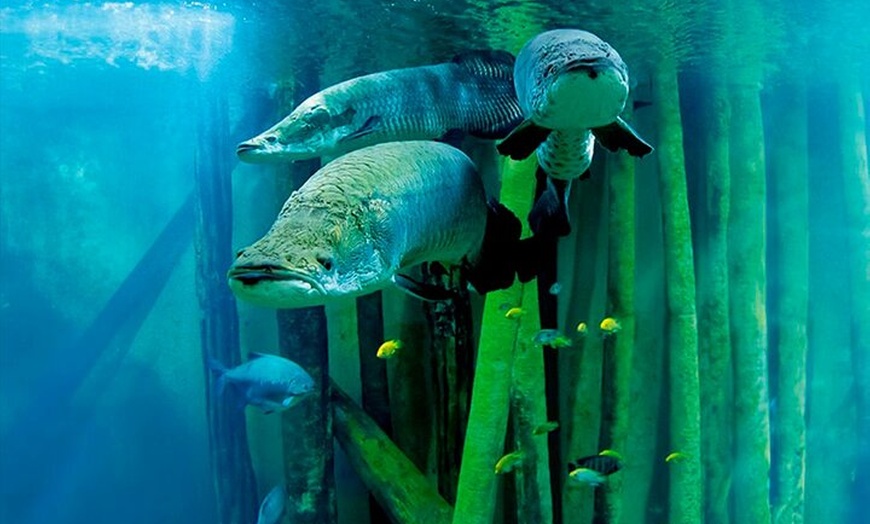 Image 1: Entrada al acuario de Zaragoza