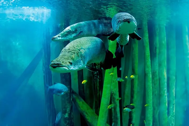 Entrada al acuario de Zaragoza - Primary Image
