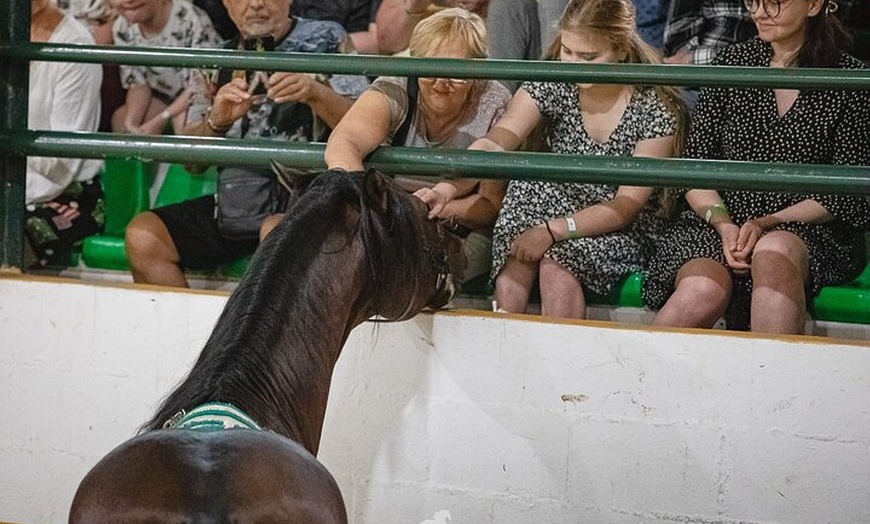 Image 8: Espectáculo de Caballos Andaluces y Flamenco con transporte