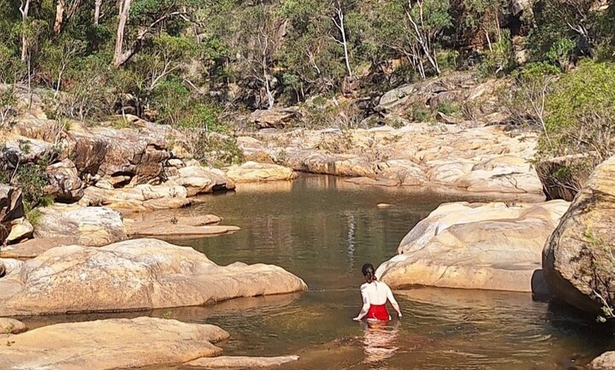 Image 3: Blue Mountains 3 Hour Guided Eco Tour - close to Sydney