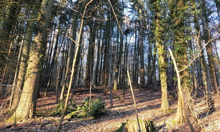 Image 8: TWO DAYS TOUR Oxford City plus Cotswolds Cycle Tours