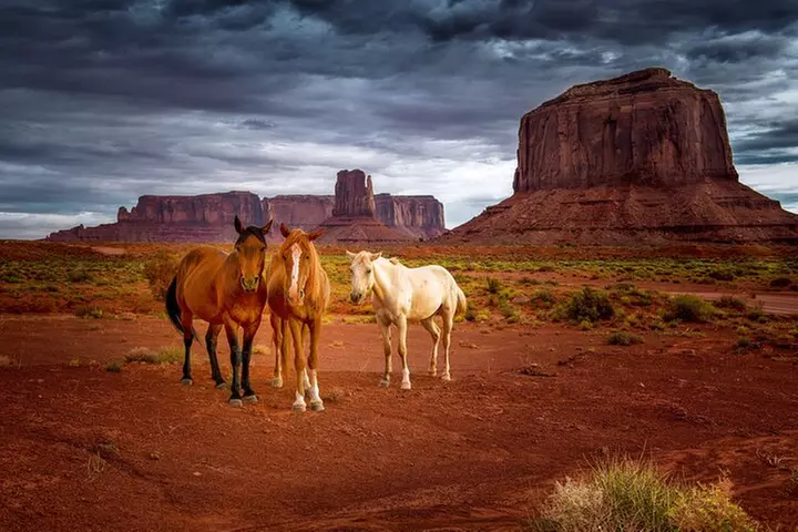 Navajo Tribal Park Monument Valley Self-Guided Driving Tour