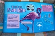 Flamingo March & Pirates Adventure Tour Nassau - Second Medium