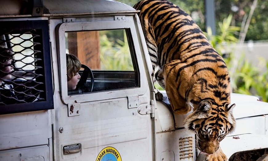 Image 6: Sydney Taronga Zoo General Entry Ticket