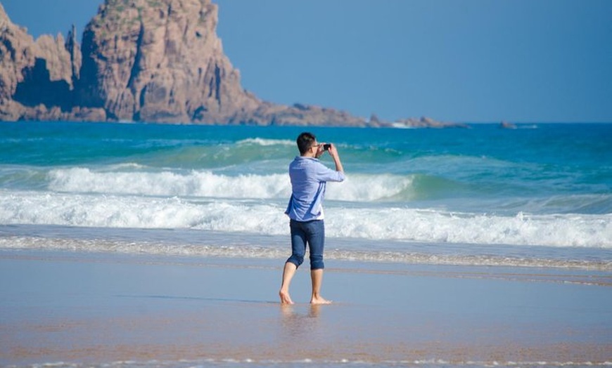 Image 9: Phillip Island Penguin Parade Day Trip with Koala Conservation Rese...