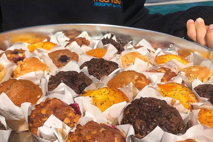 1.5hour Scenic and Wildlife luxury cruise