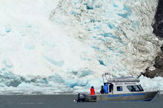 Full-Day Small Group Glacier and Wildlife Cruise to Kenai Fjords National Park - Primary Image