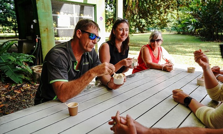 Image 19: Daintree, Cape Tribulation & River Cruise from Port Douglas