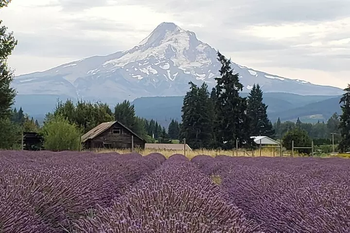 Mt. Hood Loop Tour from Portland