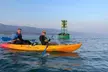 Santa Barbara Harbor Kayak Tour - Second Medium