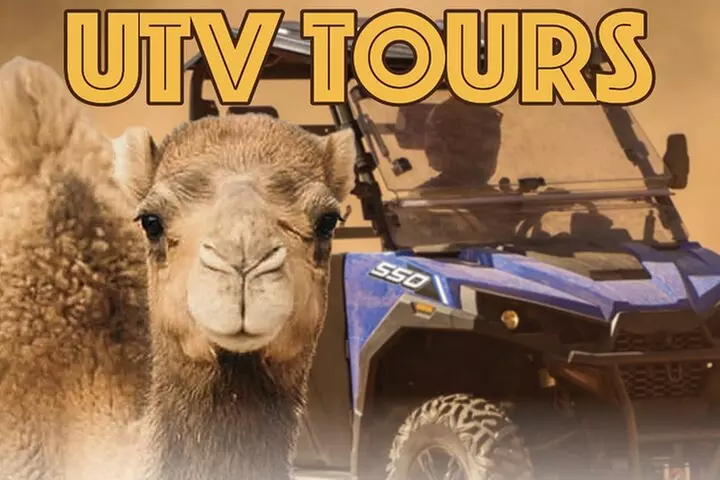 Las Vegas Guided UTV Safari and Zoo Tour - Primary Image