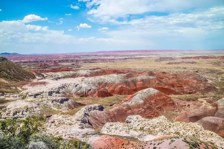 Petrified Forest National Park Self-Guided Driving Audio Tour