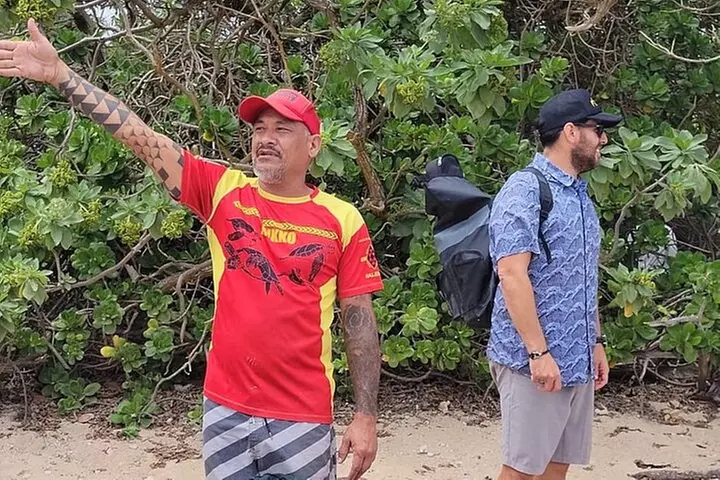 Oahu Circle Island: Snorkel with Turtles & Explore Turtle Beach