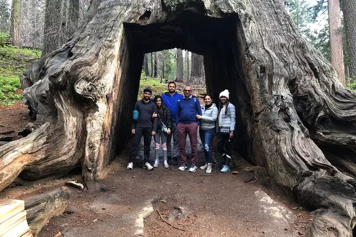 Big Trees Hike & Riverside Cookout Adventure - Primary Image
