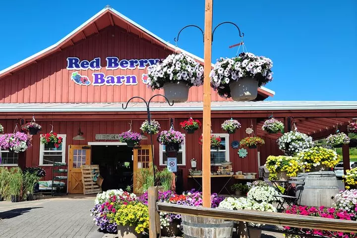 Willamette Valley Wine Tour with Lunch