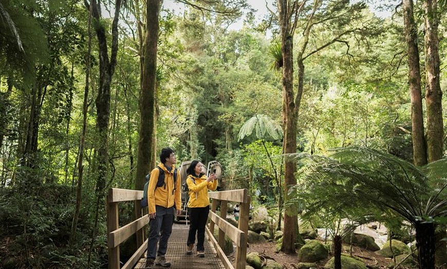Image 2: Great Ocean Road Sunset Tour
