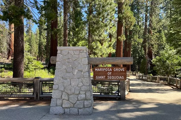 Yosemite National Park & Sequoias Private Tour from San Francisco