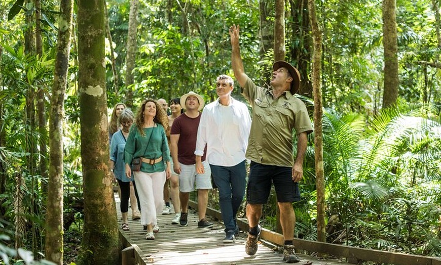 Image 3: Daintree Rainforest and Cape Tribulation Full Day Tour